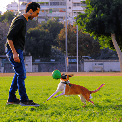 תמונה של כלב שמח ובעליו משחקים יחד בפארק בחיפה